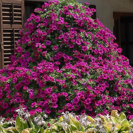 Pri Stefanu Gasthof 3*