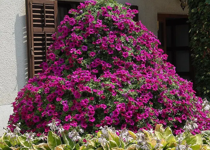 Pri Stefanu بيت ضيافة 3*