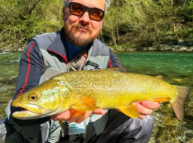 Pri Stefanu Most na Soči