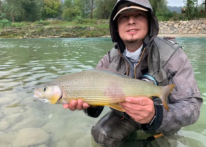 Penzion Pri Stefanu 3*